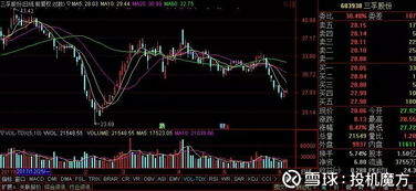 安井食品資產(chǎn)管理公司的秘密 高效資產(chǎn)運(yùn)作背后的戰(zhàn)略與智慧